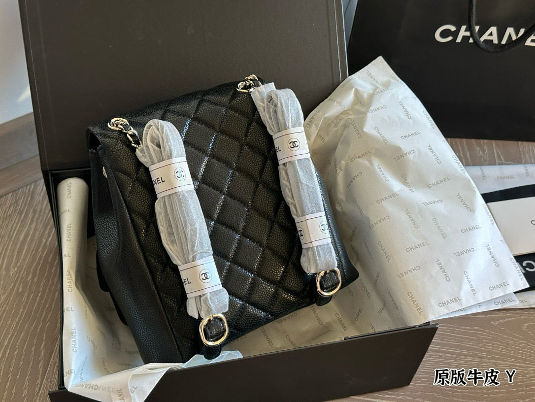 Chanel Duma "Frog" Backpack  Dual-Pocket Cute Design  Adjustable Chain/Leather Strap  21×22cm Medium Size