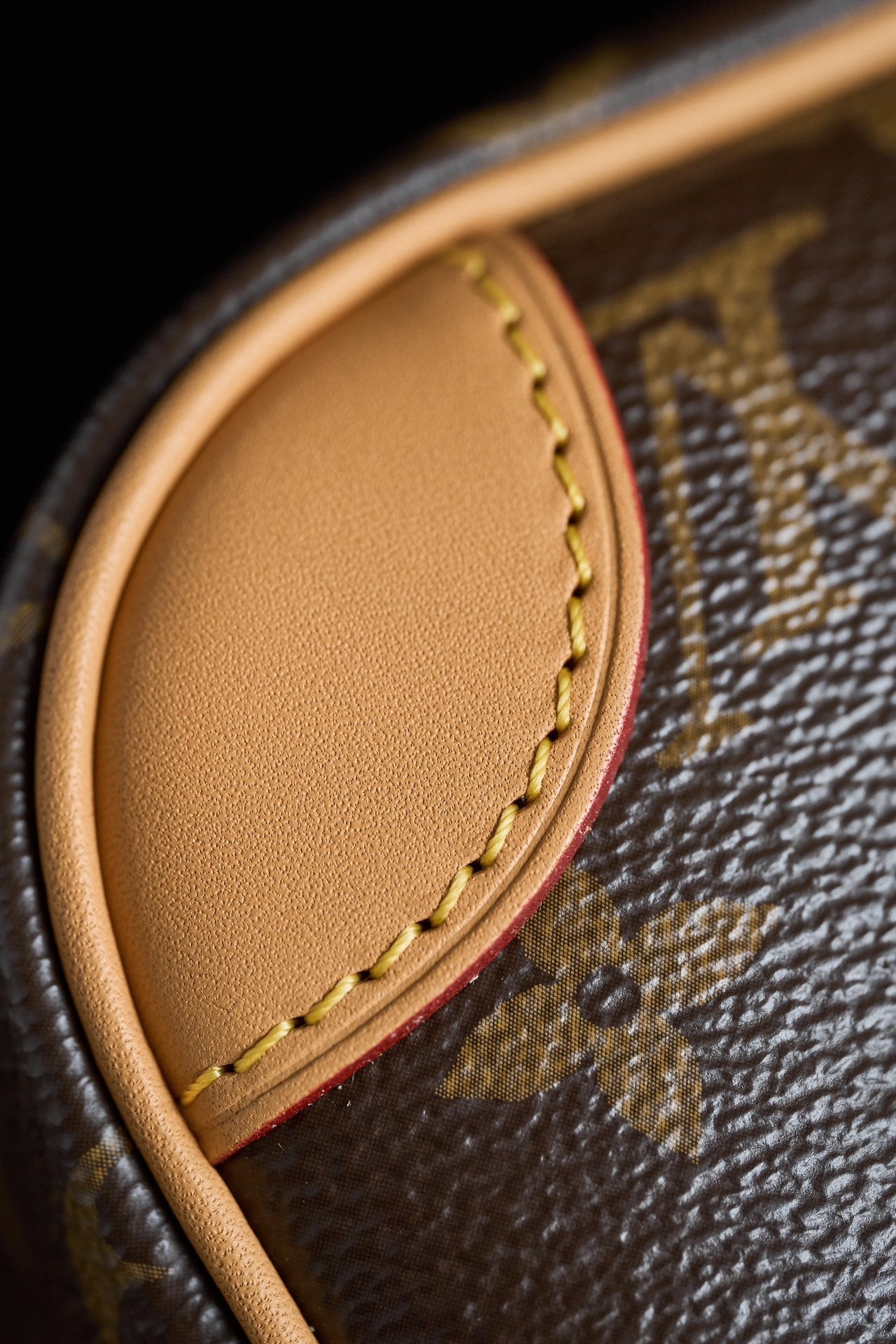 DIANE Handbag | France Dynamic Chip Code | Original Monogram Canvas & Gold Hardware | Exclusive Launch with Gift Box