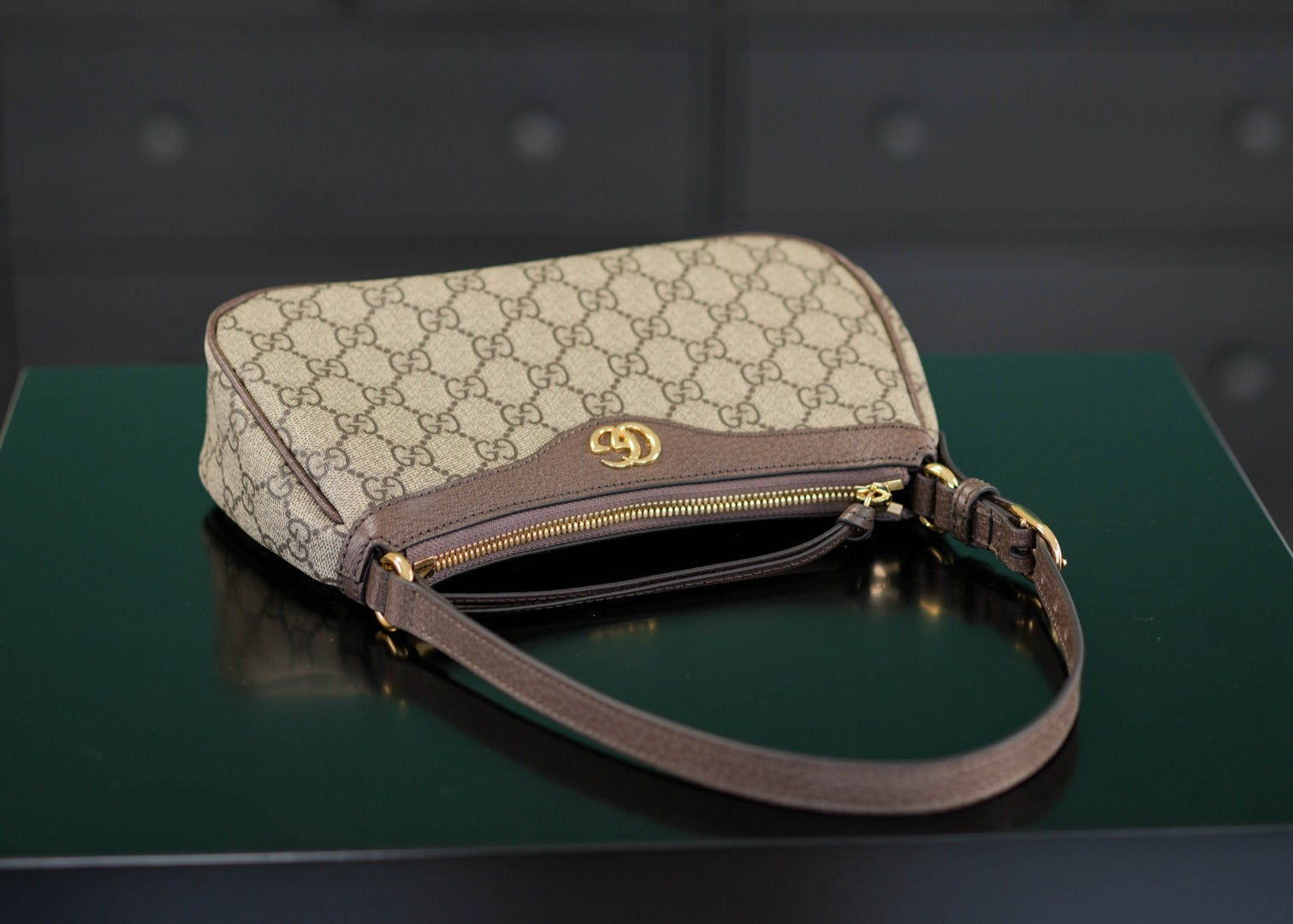 Ophidia Small Hobo Bag 25cm - Italian Marbled Pigskin & Monogram PVC with Solid Brass Hardware, Full Set Packaging