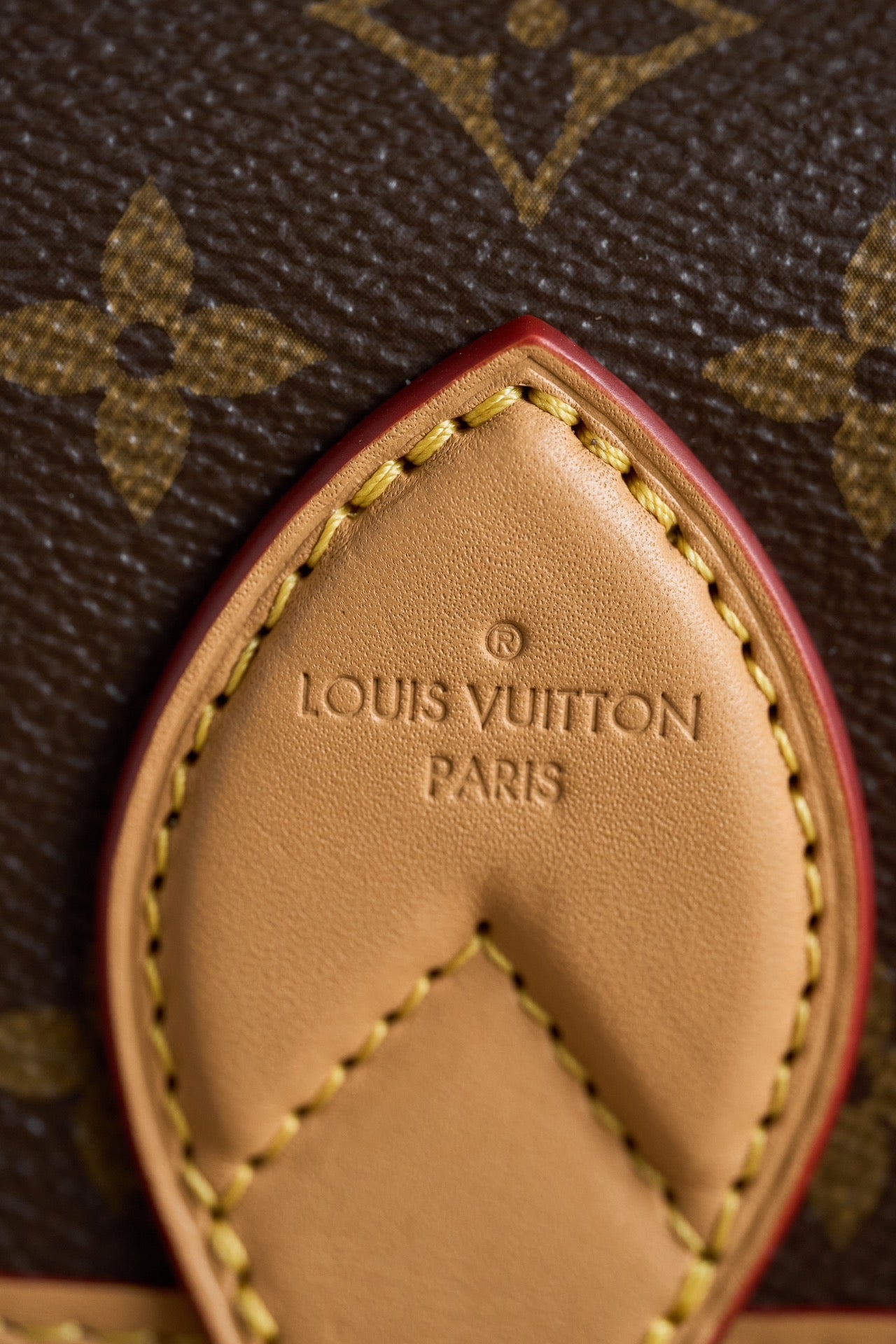DIANE Handbag | France Dynamic Chip Code | Original Monogram Canvas & Gold Hardware | Exclusive Launch with Gift Box