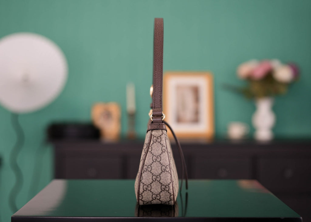 Ophidia Small Hobo Bag 25cm - Italian Marbled Pigskin & Monogram PVC with Solid Brass Hardware, Full Set Packaging